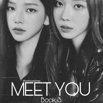 Meet you book 3